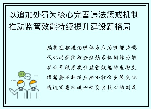 以追加处罚为核心完善违法惩戒机制推动监管效能持续提升建设新格局